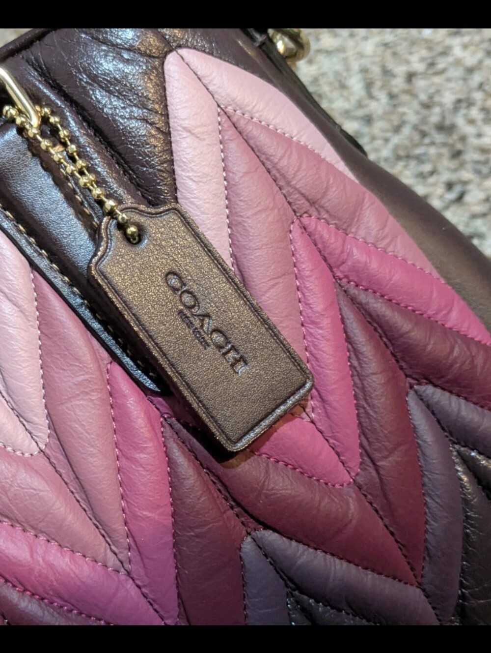COACH MINI SAGE OMBRE' CARRYALL - Picture 10 of 11